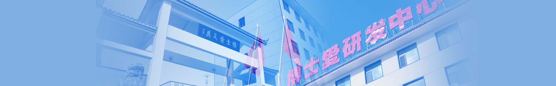 关于最专业体育游戏娱乐平台